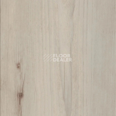 Кварцвиниловые полы AW Invictus Maximus Plank 2.5 мм Norwegian Wood Arcti фото 1 | FLOORDEALER